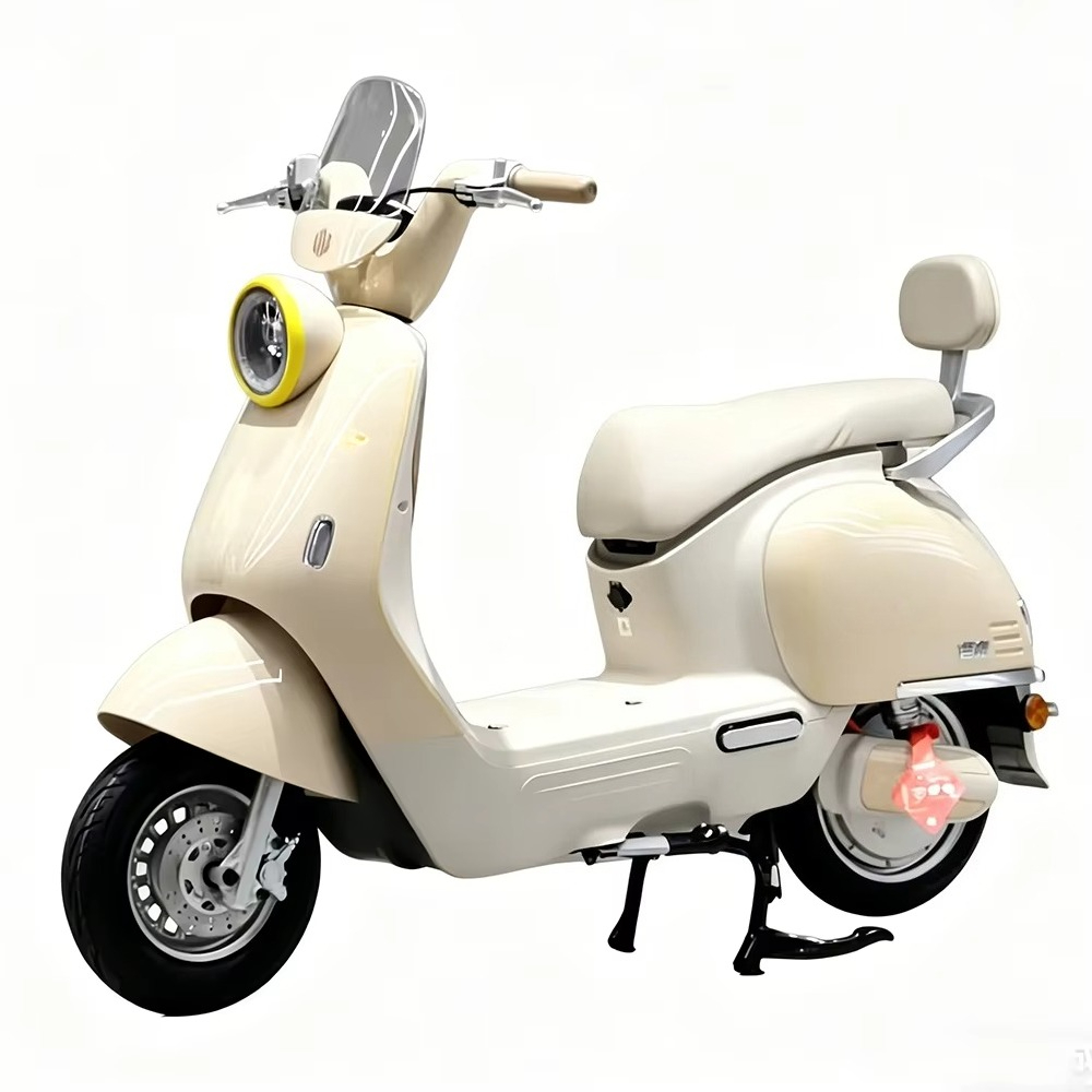 Sepeda motor listrik dewasa de - Brake Disc Motorcycle ulasan dan harga