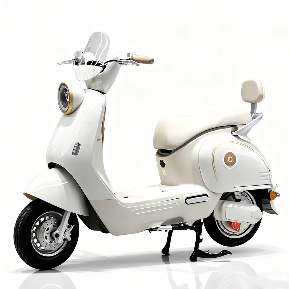 Sepeda motor listrik dewasa de - Brake Disc Motorcycle ulasan dan harga
